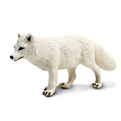 Arctic_Fox4__42471.1692837901.
