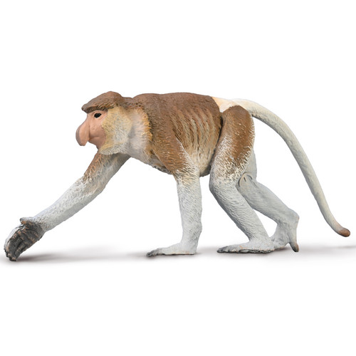 COLLECTA_PROBOSCIS_MONKEY_8001