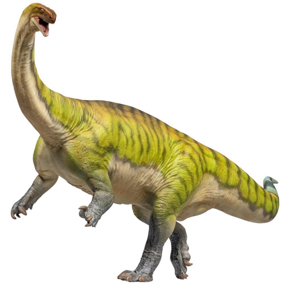 Image of PNSO Yiran The Lufengosaurus
