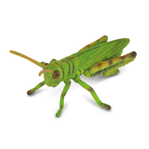 Collecta_grasshopper___25122.
