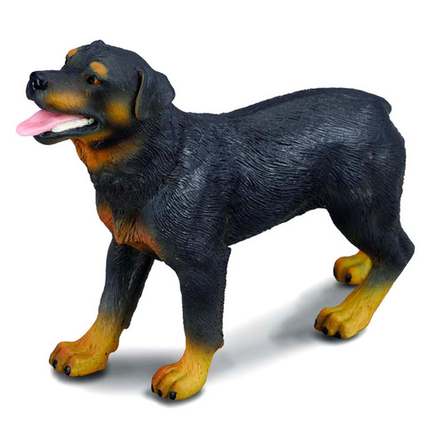 Rottweiler cootie deluxe 19so ワコマリア rottweiler 19so kj