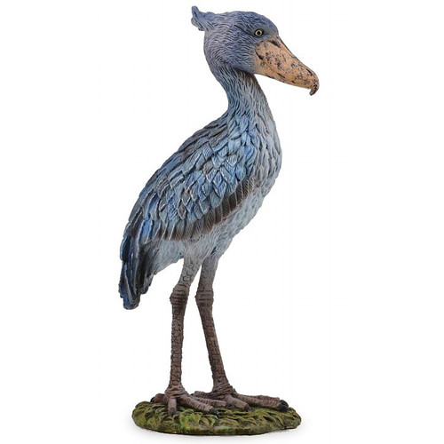 shoebill dinosaur