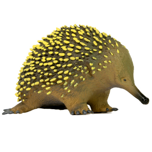 SN_Large_Echidna__14545.