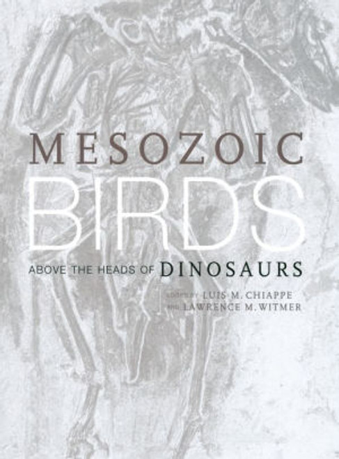 (PDF) Mesozoic Birds: Above the Heads of Dinosaurs / Edition 1 (PDF) Mesozoic Birds: Above the Heads of Dinosaurs / Edition 1