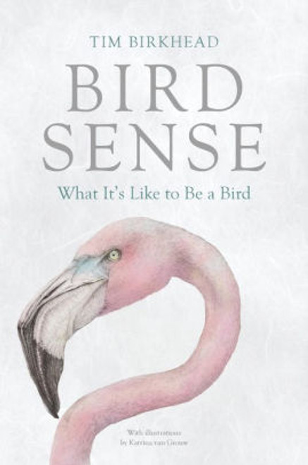 (PDF) Bird Sense: What It's Like to Be a Bird (PDF) Bird Sense: What It's Like to Be a Bird