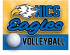 NICS Volleyball Yard Sign