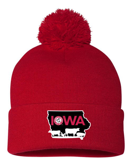 C&D Pom-Pom Beanie