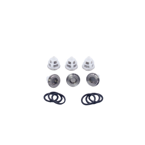 Kit 124: Check Valves + O-rings for Bertolini Pumps, P/N 059890973