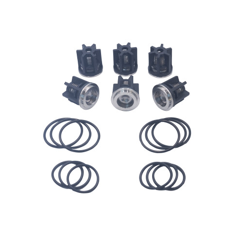 Kit 186: Check Valves + O-rings for Bertolini Pumps, P/N 739871973