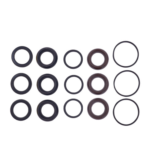 Kit 74: Seal Packings for Bertolini Pumps, P/N 079806973