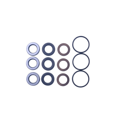 Kit 299: Seal Packings for Bertolini Pumps, P/N 029839973