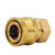 1/4-in Female NPT to 1/4-in Quick-Connect Socket Brass Adapter