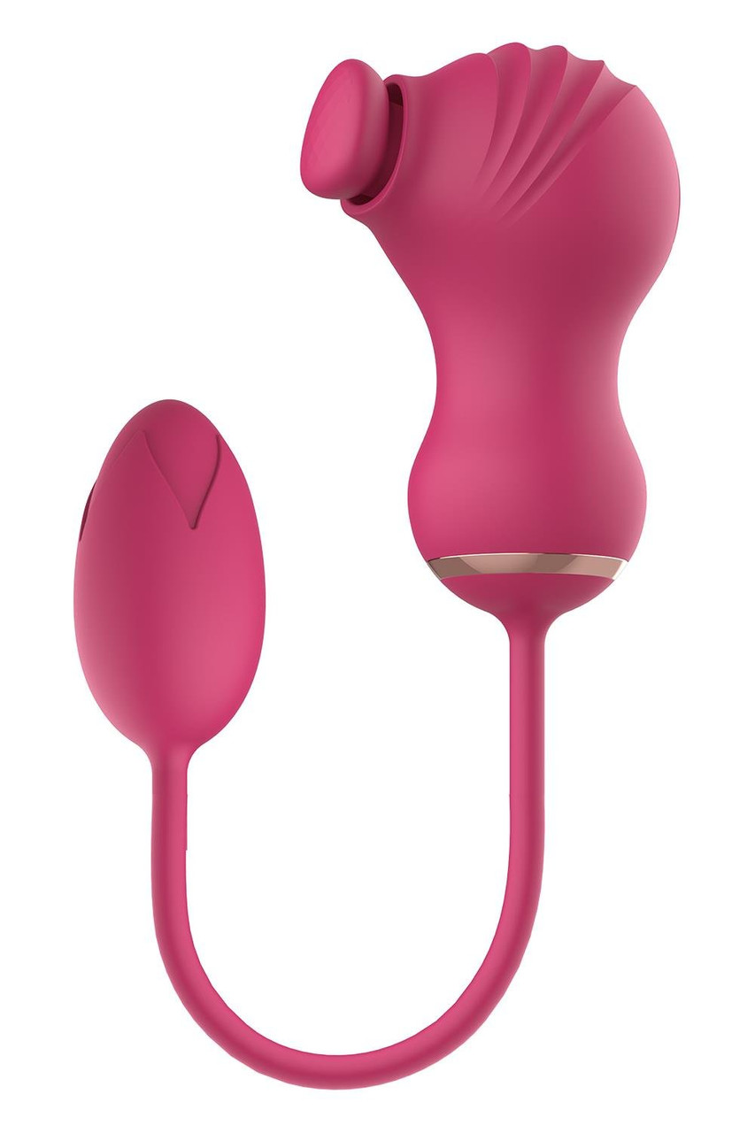 vibrating egg pink VIBRATING EGG WITH REMOTE CONTROL