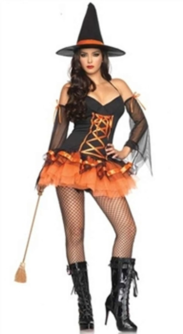 Lady sexy witch costume,including the dress,hat,gloves and panty.