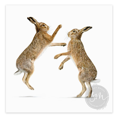 Boxing Hares