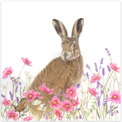 Lavender Hare