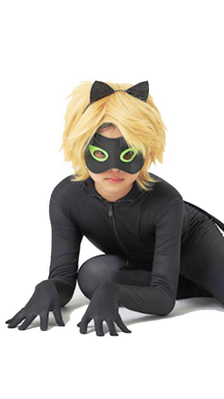 Cat Noir Cosplay Ladybug Costumes Girl Miraculous Ladybug I Shopzinia I  Costume Shop