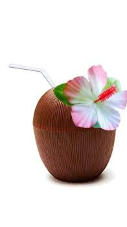 Hawaiian Holiday Party Cup Coconut Cup