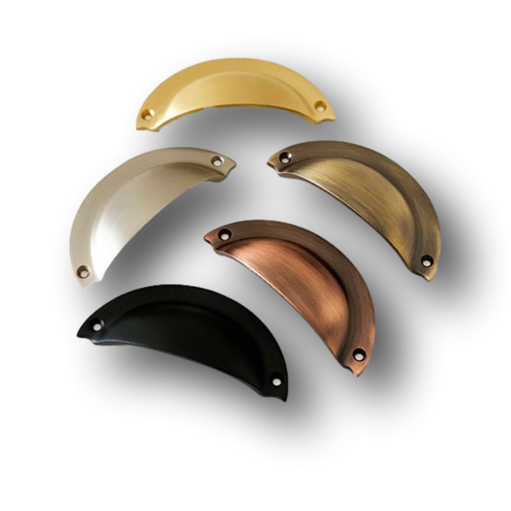 Home Improvement Knobs & Pulls 6x Shell Drawer Knobs knob in 4