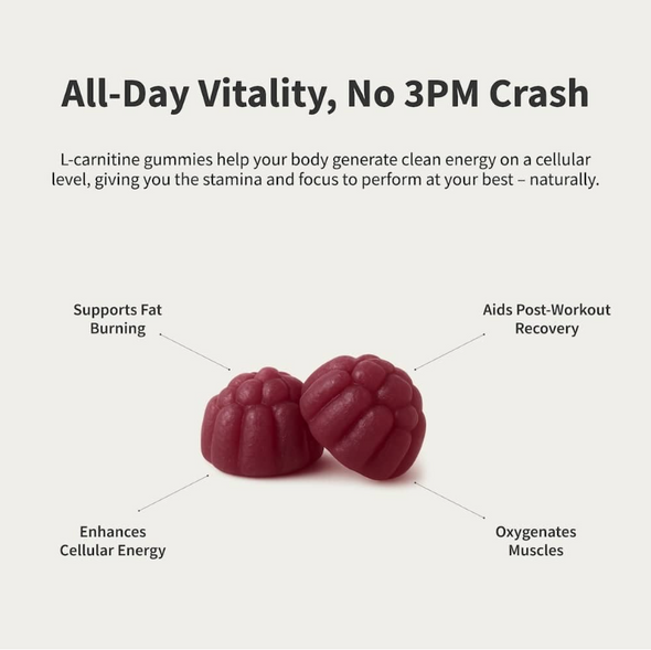 Snap Supplements L-Carnitine Sugar-Free Blueberry - 60 Gummies