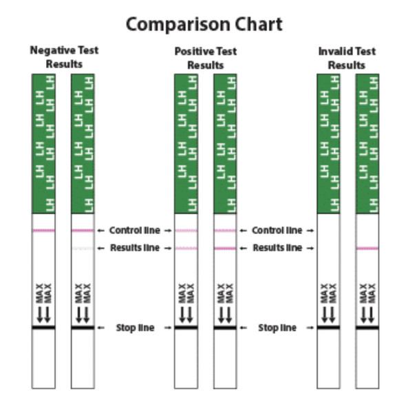 Fairhaven Health BFP Ovulation Test Strips Additional Product Image 2