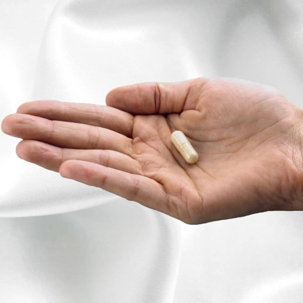 Fairhaven Health Organic Maca Fertility Supplement 60 Caps Main Product Image