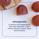 Trace Minerals Ashwagandha Gummies Passion Fruit Orange, 60 Gummies Additional Product Image 7