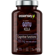 ESSENSEY GOTU KOLA 90 Caps Additional Product Image 2