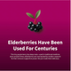 Snap Supplements Immune Booster Elderberry - 60 Gummies - image 4