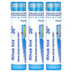 Boiron Rhus Tox - 30C for Natural Relief - 3 Tubes Additional Product Image 2