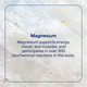 Trace Minerals Liquid Magnesium - 473 ml Additional Product Image 4