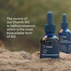 Trace Minerals Liquid Ionic B12 59 ml Additional Product Image 5