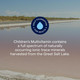 Trace Minerals Liquid Kid's Multi 237 ml Additional Product Image 4