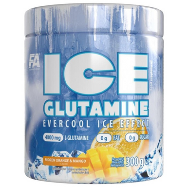 FA ICE Glutamine 300g
