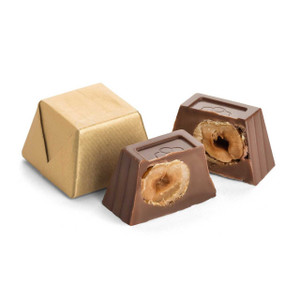 Chocolate Caramelized Hazelnut with Praline