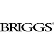 Briggs