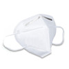 Weshikang WSKKN95-01 Protective Respiratory Mask KN95 FFP2 