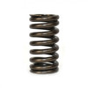 Hitachi 882-913 Head Valve Spring (NR65AK2)