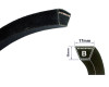 Jag Pneumatics B29 V Belt Total Omniforce