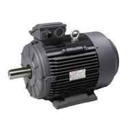 Techtop TA2C1103TAI Electric Motor 2 Pole 2945rpm 415V 11kW (15HP)