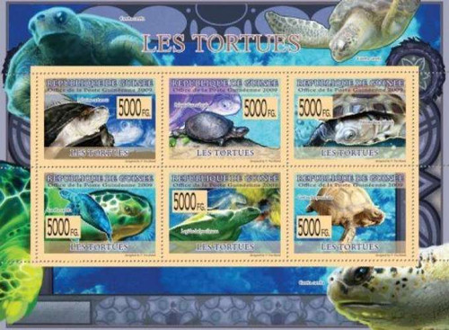 Guinea - Turtles & Tortoises on Stamps - 6 Stamp Mint Sheet  7B-1103