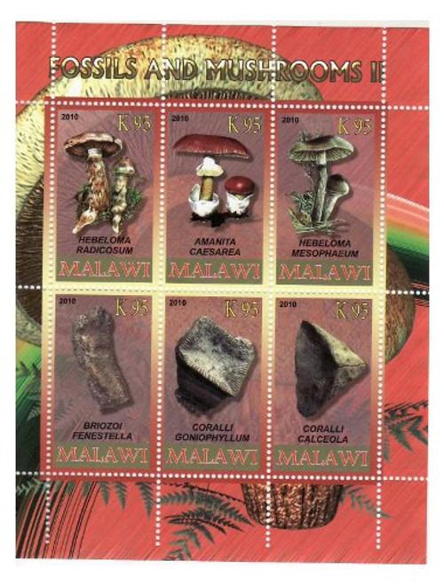 Malawi - Fossils & Mushrooms - 6 Stamp Sheet MNH SV0752