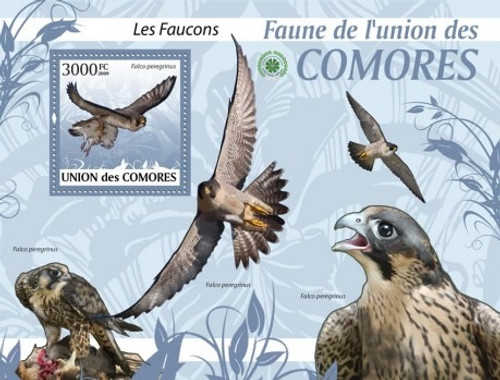 Comoros - Hawks - Mint Stamp S/S MNH - 3E-241