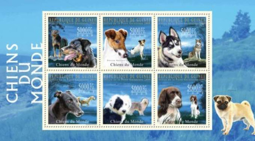Guinea - Dogs on Stamps - 6 Stamp Mint Sheet MNH - 7B-1186