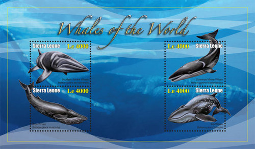 Sierra Leone - Whales - 4 Stamp Mint Sheet - SIE1036H