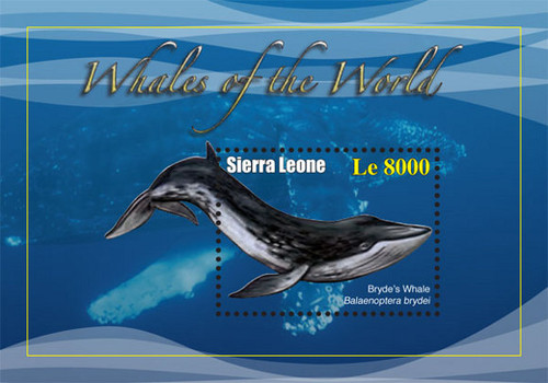 Sierra Leone - Whales - Mint Stamp Souvenir Sheet - SIE1036S
