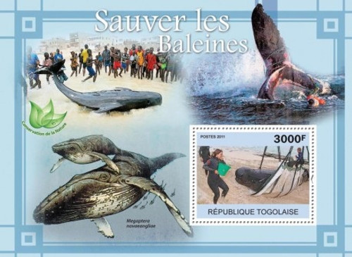 Togo - Whales - Mint Stamp Souvenir Sheet MNH - 20H-175