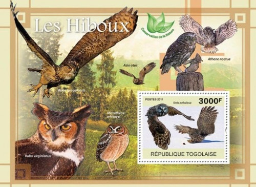 Togo - Owls - Mint Stamp S/S MNH - 20H-177