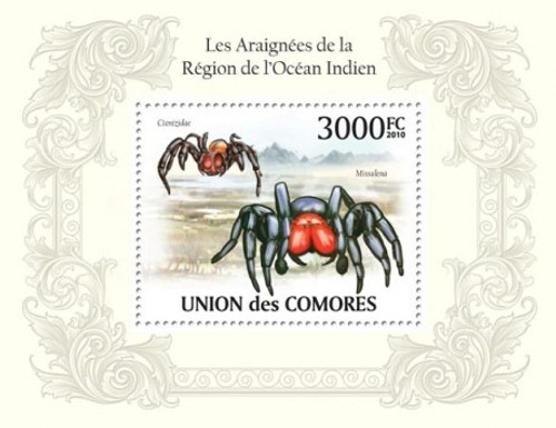 Comoros - Spiders - Mint Stamp S/S - 3E-303
