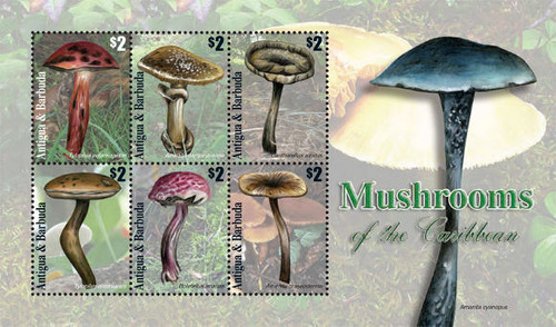 Antigua - Mushrooms 6 Stamp Mint Sheet ANT1109H